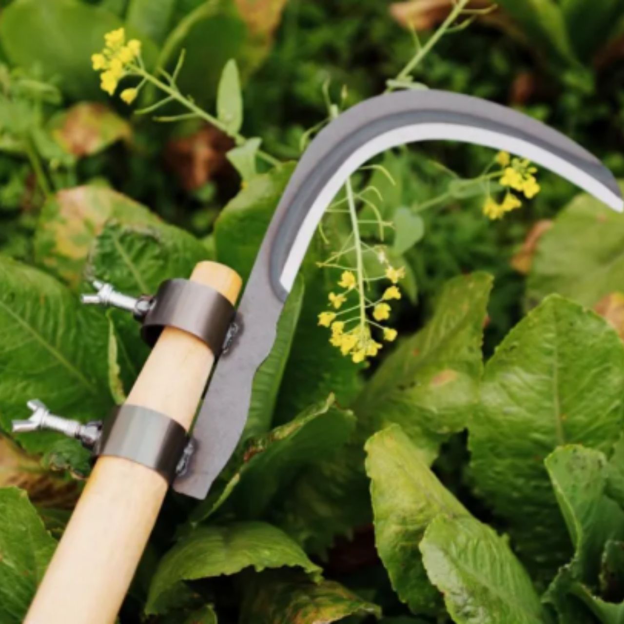 AgroTool, Tăietor de Crengi, Buruieni, Spini și Vegetație - Image 5