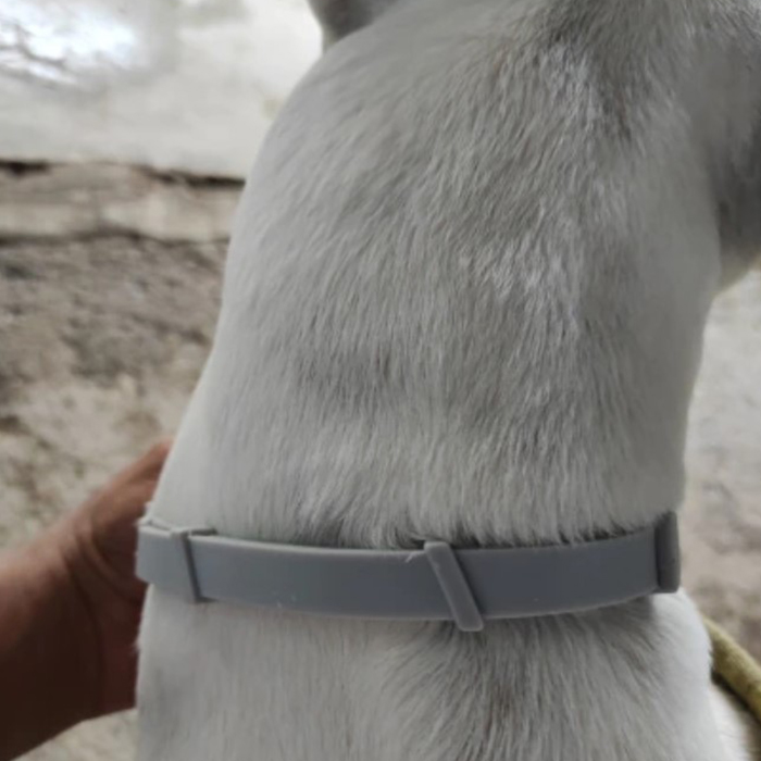 AnimalProtect, zgardă împotriva căpușelor și puricilor pentru câini - Image 2