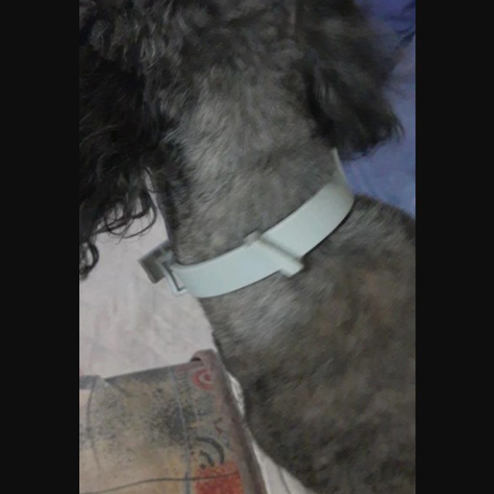 AnimalProtect, zgardă împotriva căpușelor și puricilor pentru câini - Image 3