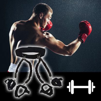 BOXINGTRAK, Benzi de antrenament pentru box