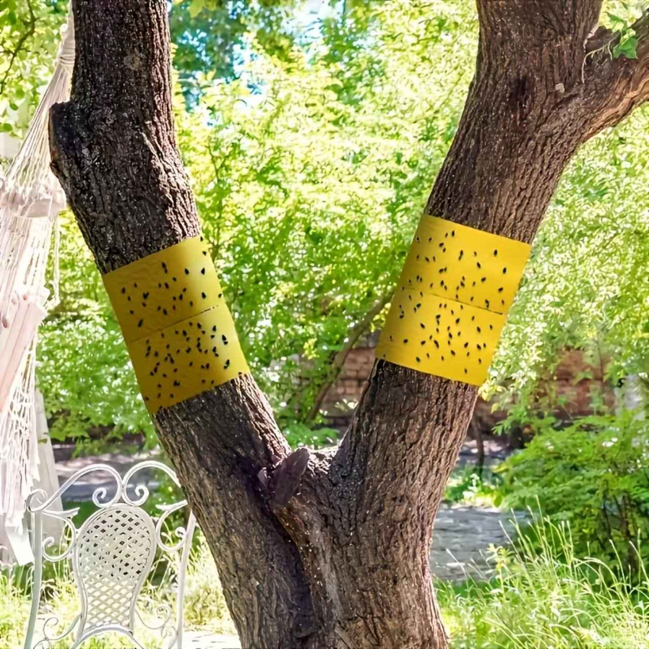 BarrierTape, bandă adezivă pentru prinderea insectelor - Image 3