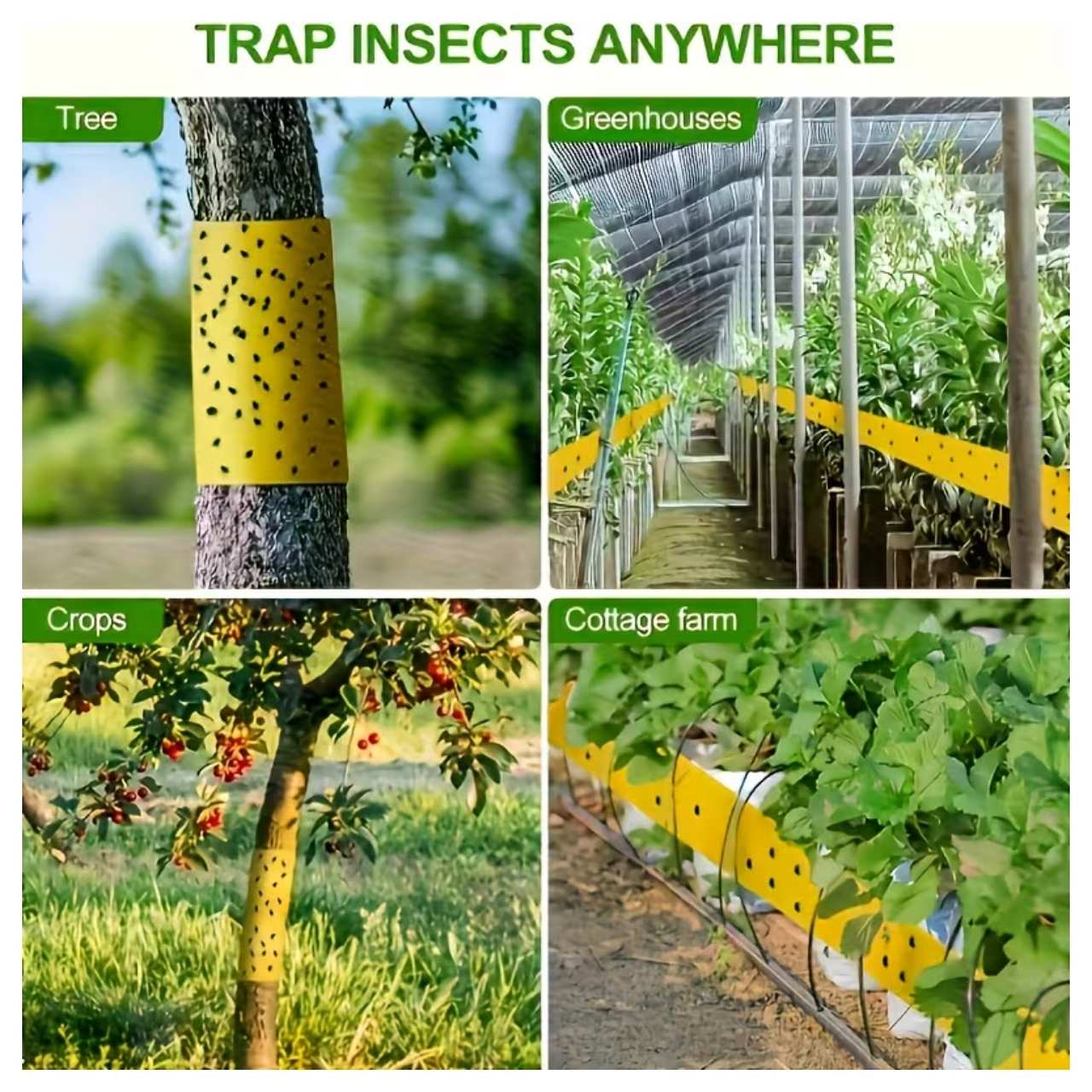 Protejarea copacilor și plantelor din grădină