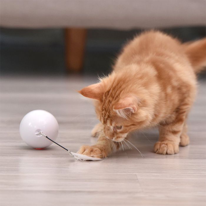 CatToy, jucărie pentru pisică sub forma unei mingiuțe ce își flutură penele - Image 2