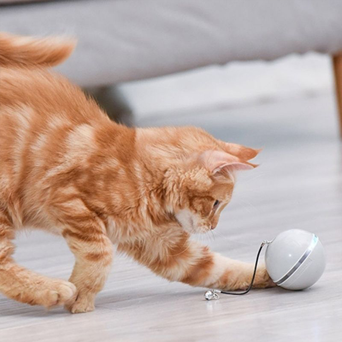 CatToy, jucărie pentru pisică sub forma unei mingiuțe ce își flutură penele - Image 3