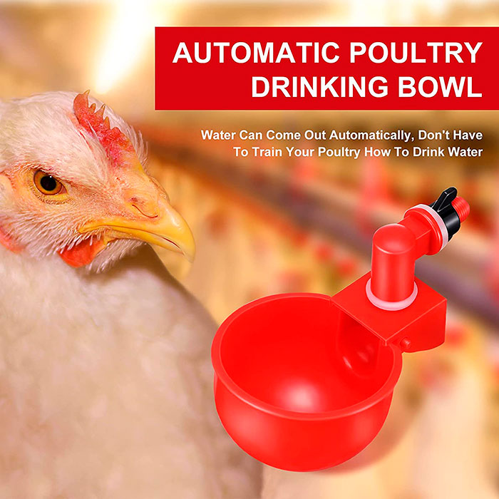 ChickenBowl, adapator de apă pentru găini și alte păsări (set de 6 bucăți) - Image 4