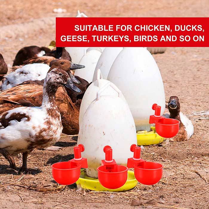 ChickenBowl, adapator de apă pentru găini și alte păsări (set de 6 bucăți) - Image 5