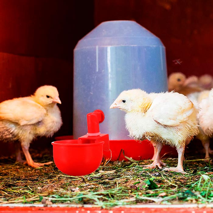 ChickenBowl, adapator de apă pentru găini și alte păsări (set de 6 bucăți) - Image 7