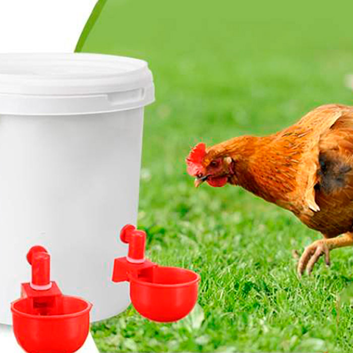 ChickenBowl, adapator de apă pentru găini și alte păsări (set de 6 bucăți) - Image 8