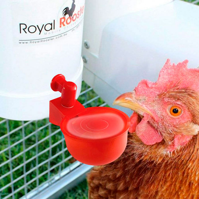 ChickenBowl, adapator de apă pentru găini și alte păsări (set de 6 bucăți) - Image 9