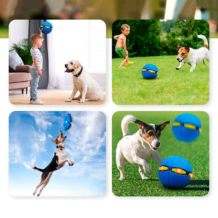 DiskBall, un jucărie pentru câini care este atât un frisbee, cât și o minge - Image 7