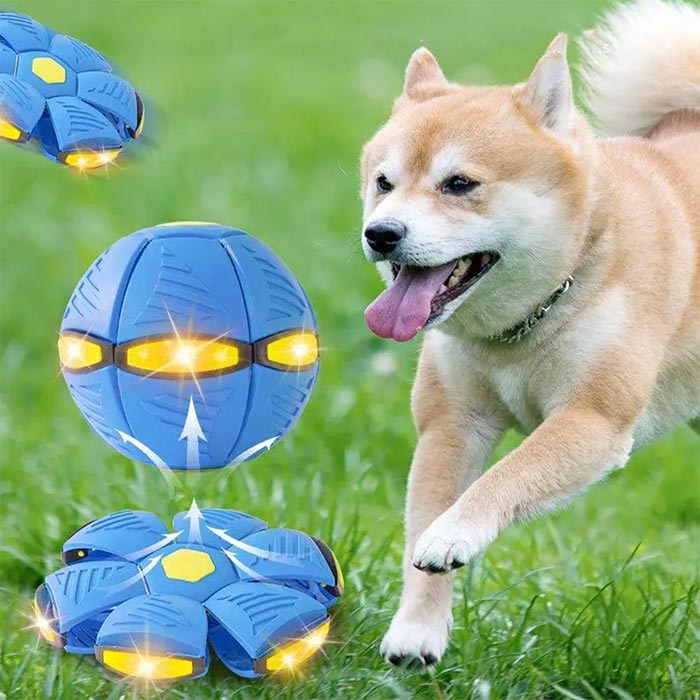 DiskBall, un jucărie pentru câini care este atât un frisbee, cât și o minge - Image 8