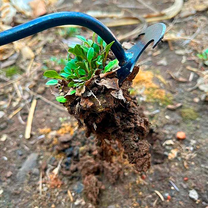 DuoWeeder, sapa pentru buruieni din grădină - Image 3