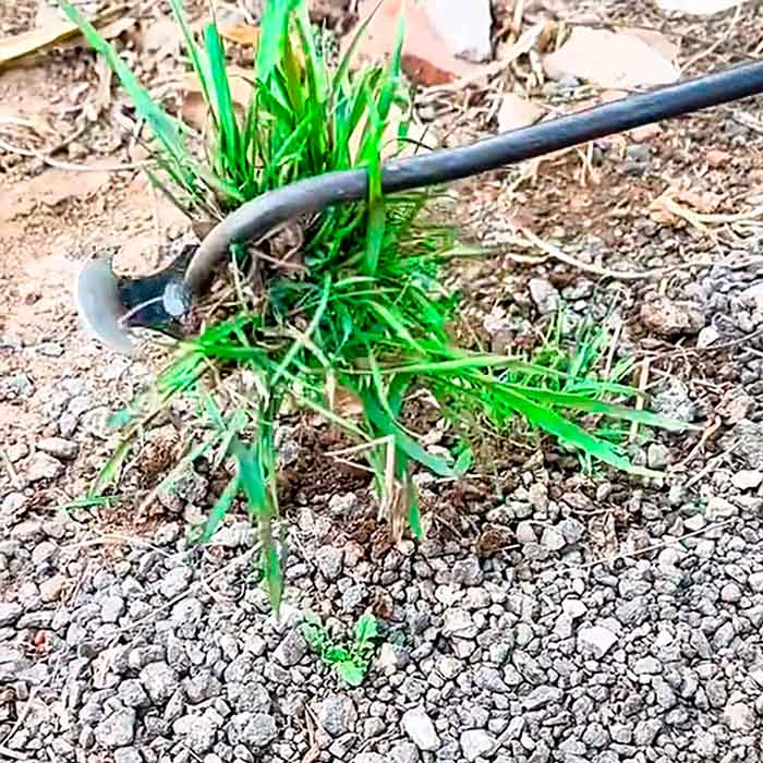 De asemenea, potrivit pentru îndepărtarea plantelor care cresc de-a lungul pavajelor și bordurilor.