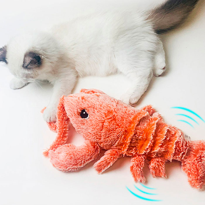 LobsterToy, un jucărie interactivă pentru animale de companie în formă de homar - Image 9