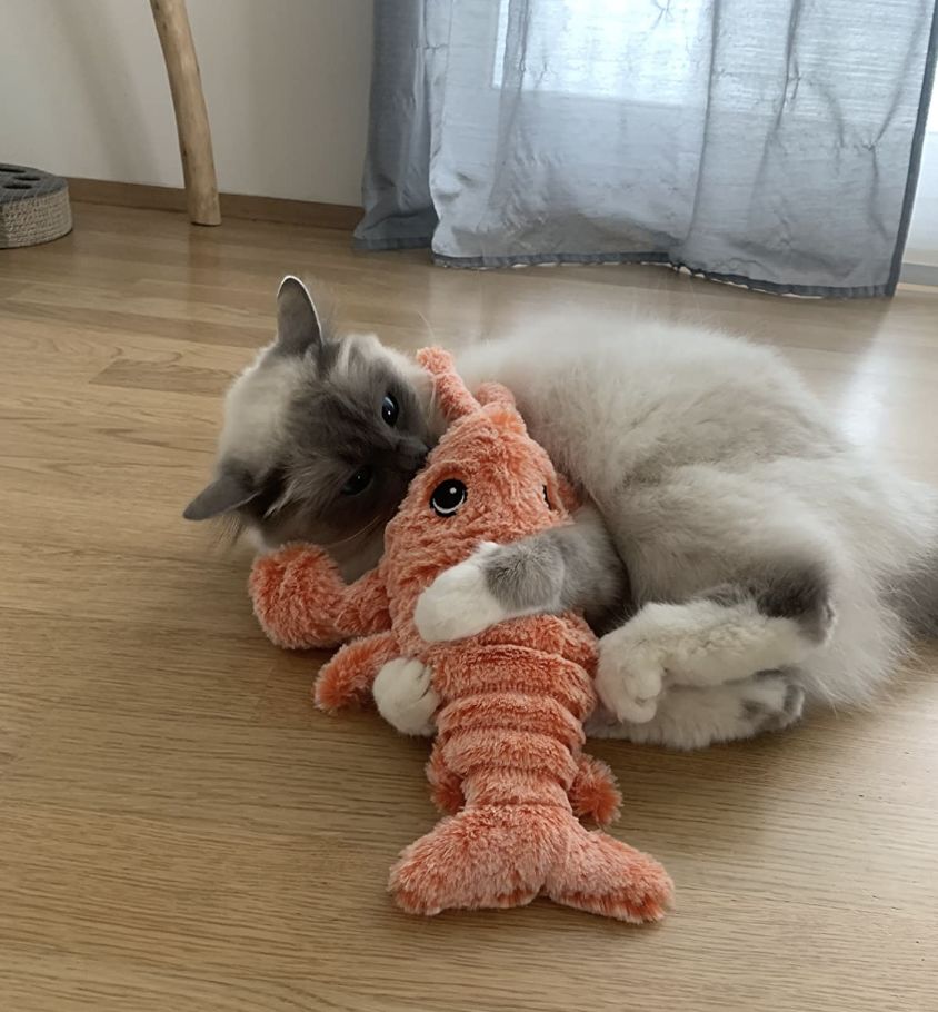 LobsterToy, un jucărie interactivă pentru animale de companie în formă de homar - Image 10