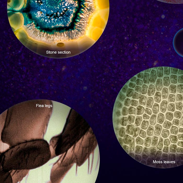 MicroscopeKit, microscop portabil pentru copii - Image 9
