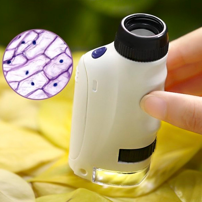 Încurajează-ți copilul să petreacă timp de calitate în natură – cu un microscop, copilul tău poate explora compoziția frunzelor, copacilor, florilor și a altor plante și obiecte din diferite materiale!