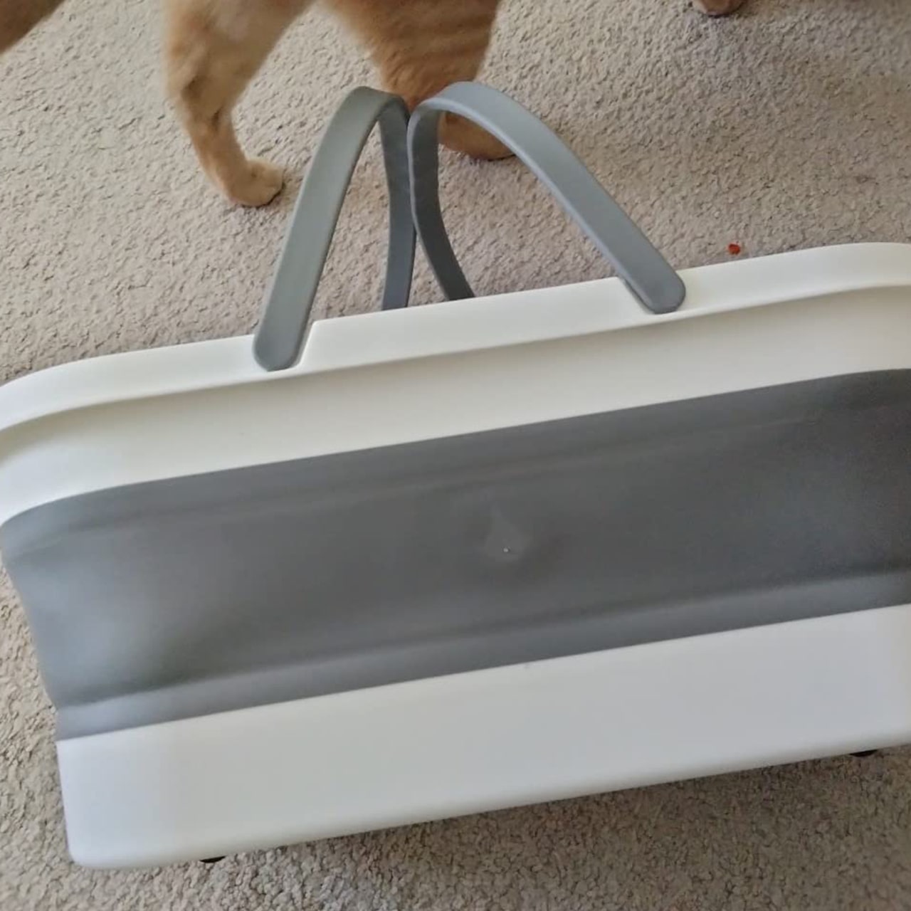 Pail, găleată pliabilă pentru curățare ușoară - Image 2