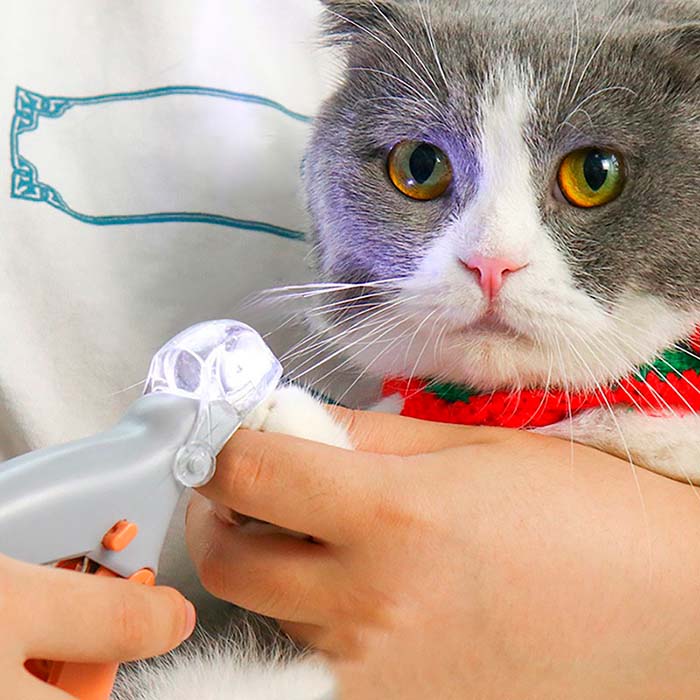 PawGloTrim, clește pentru tăierea ghearelor cu lumină LED - Image 7