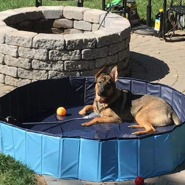 PawlyPool, piscină pliabilă pentru copii și animale de companie - Image 3