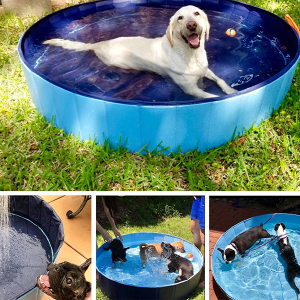 PawlyPool, piscină pliabilă pentru copii și animale de companie - Image 5