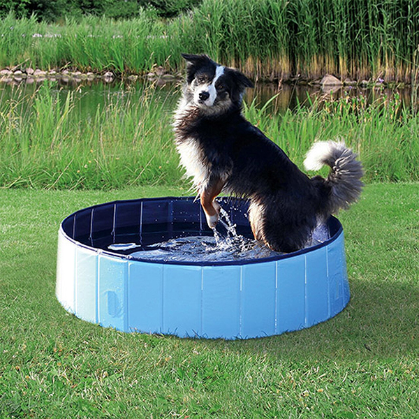 PawlyPool, piscină pliabilă pentru copii și animale de companie - Image 10
