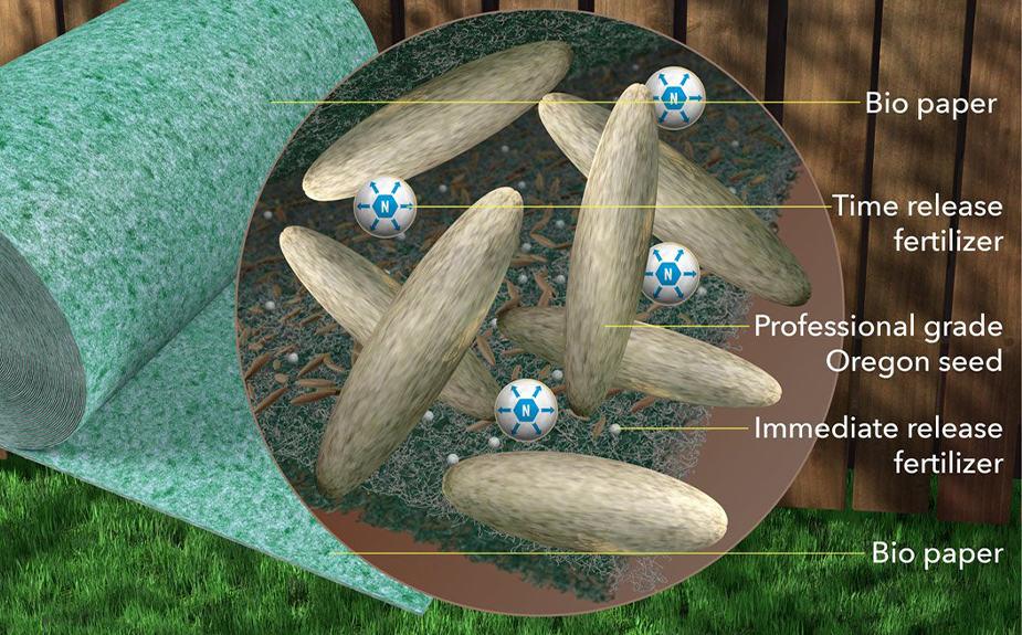 PlantPaper, hârtia inovatoare 3-în-1 cu fertilizator - Image 2