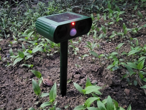 RepellentSensor – dispozitiv solar pentru alungarea animalelor din grădină - Image 10