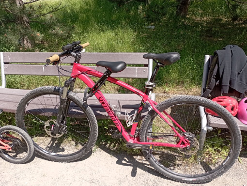 RideSeat, scaun de bicicletă pentru copii - Image 10