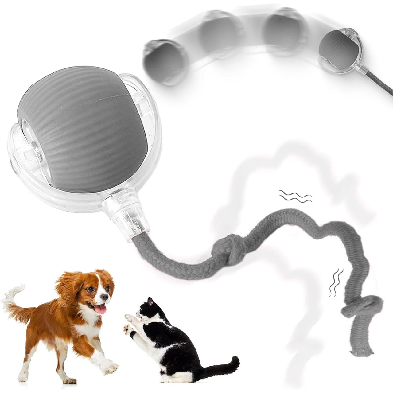 RollBall, o minge de joacă cu un zgardă pentru animale de companie - Image 3