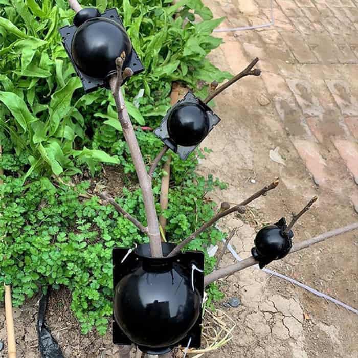 RootBall, dispozitive pentru germinarea cu succes a plantelor (2 bucăți) - Image 2