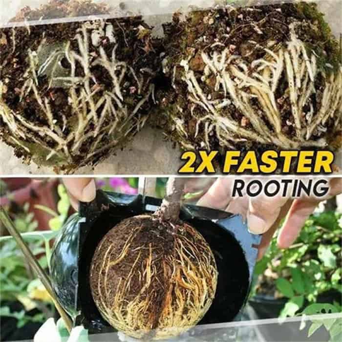 RootBall, dispozitive pentru germinarea cu succes a plantelor (2 bucăți) - Image 8