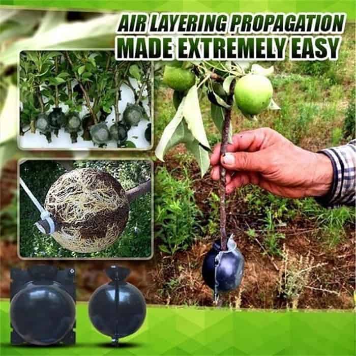 RootBall, dispozitive pentru germinarea cu succes a plantelor (2 bucăți) - Image 9