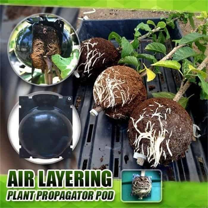 RootBall, dispozitive pentru germinarea cu succes a plantelor (2 bucăți) - Image 10