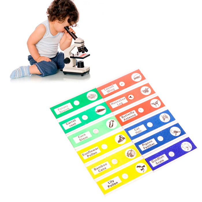 Slides, set de lame pentru microscop (set de 12 bucăți) - Image 3