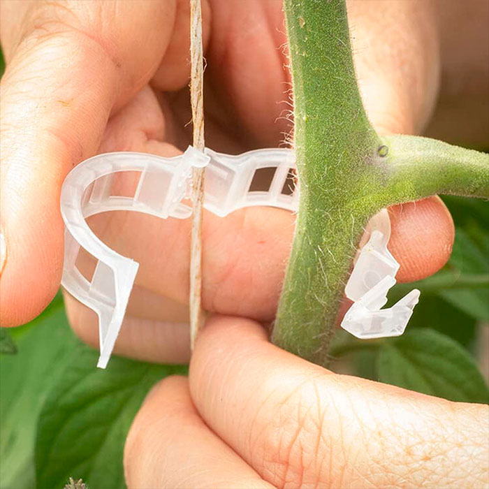 SnapClips, Cleme pentru plante (50 bucăți) - Image 6