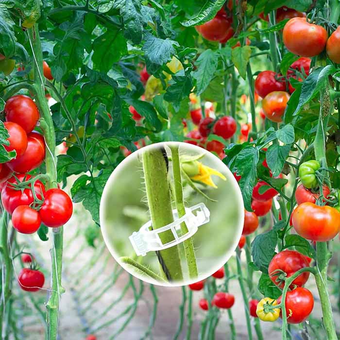 Potrivit pentru susținerea diferitelor tipuri de plante, cum ar fi roșiile, castraveții, plantele de interior etc.