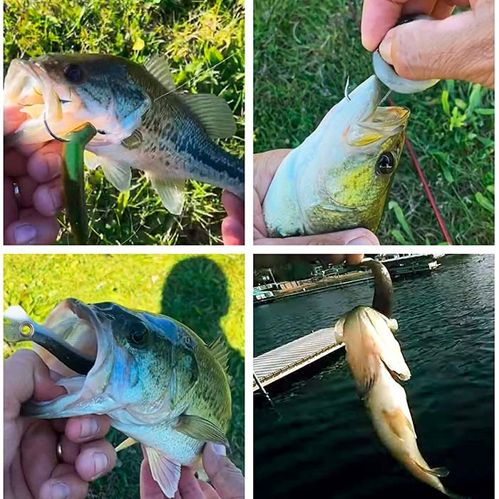 SoftLures, momeală pentru pește (set de 5 bucăți) - Image 6