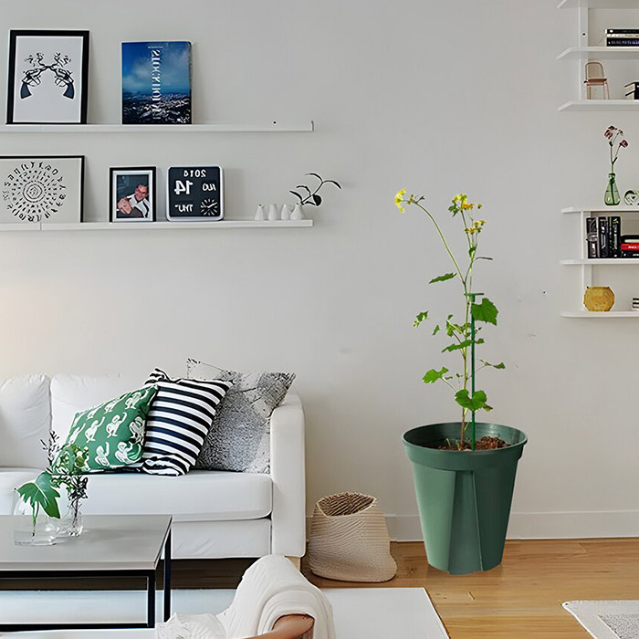 SupportPlant, suport de plante (10+10 GRATUIT) - Image 3
