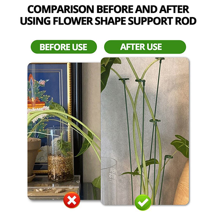 SupportPlant, suport de plante (10+10 GRATUIT) - Image 4