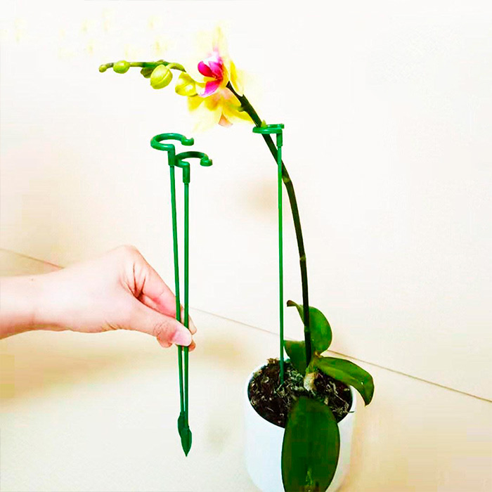 SupportPlant, suport de plante (10+10 GRATUIT) - Image 6