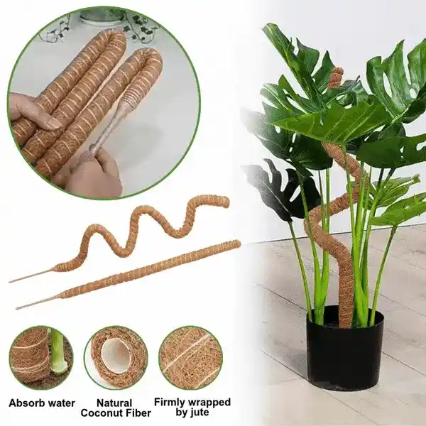 UniquePlant, stâlp de susținere pentru plante - Image 2
