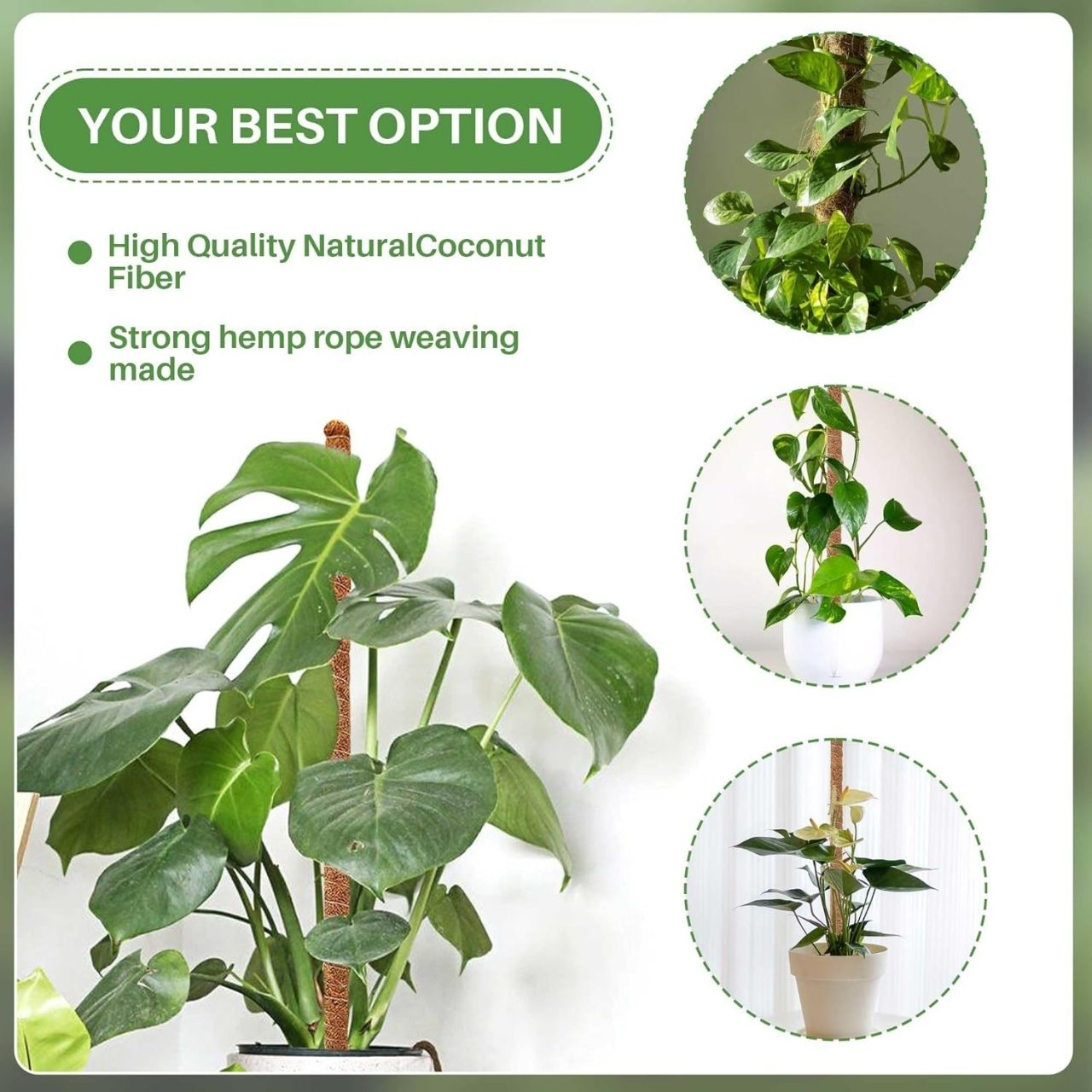 UniquePlant, stâlp de susținere pentru plante - Image 4
