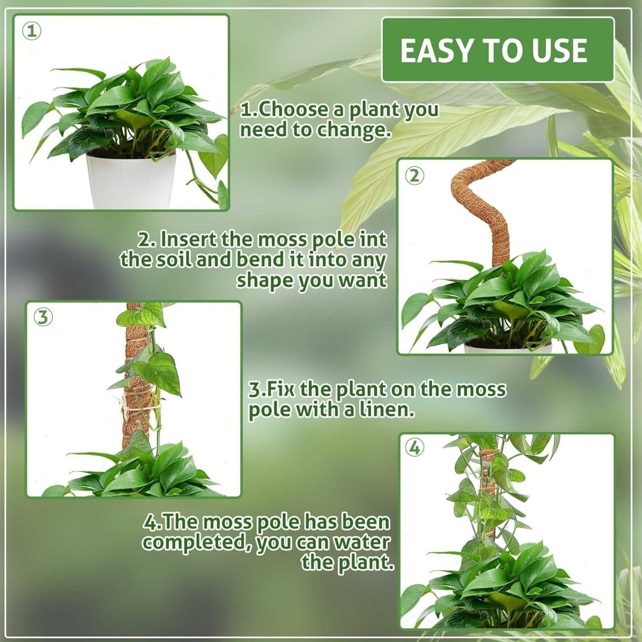 Suport ideal pentru plantele cu rădăcini aeriene