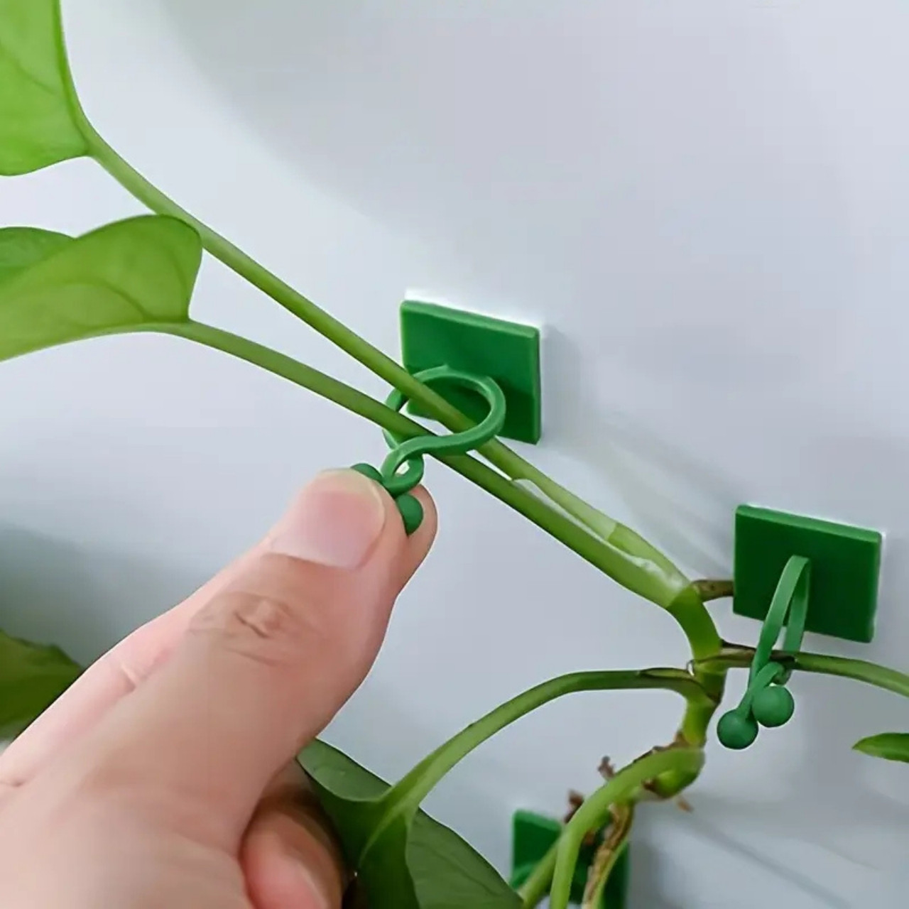 Vines, suporturi autoadezive pentru plante și plante cățărătoare (100 de bucăți) - Image 3