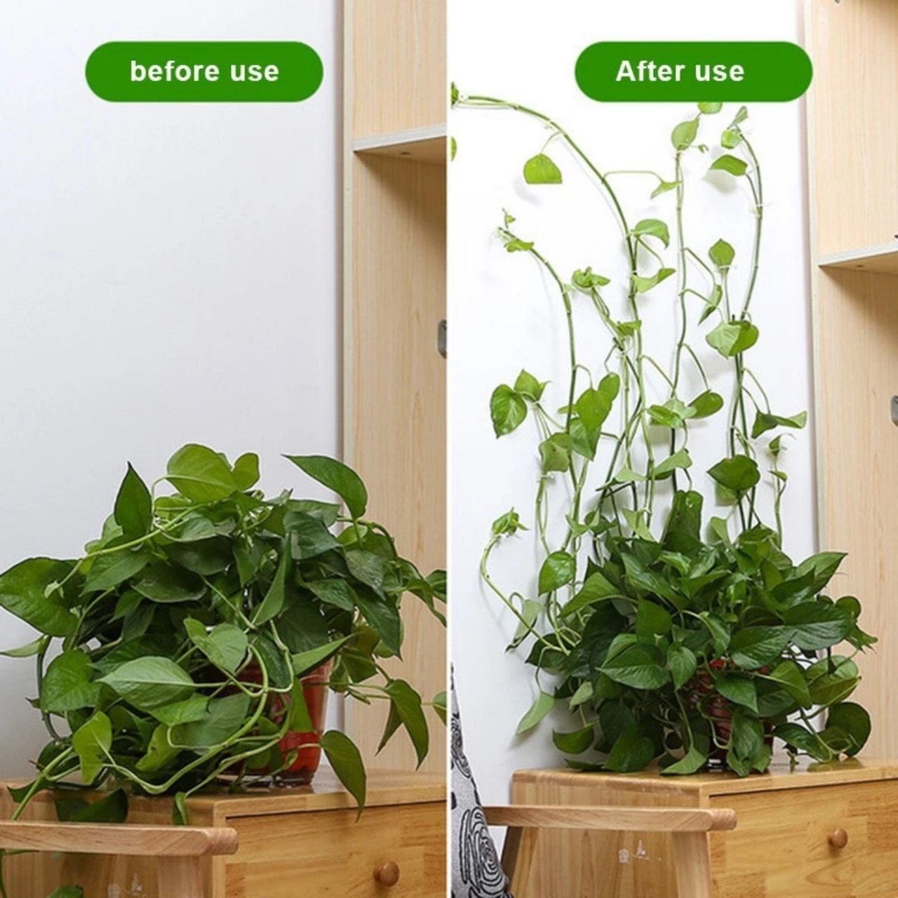 Vines, suporturi autoadezive pentru plante și plante cățărătoare (100 de bucăți) - Image 5