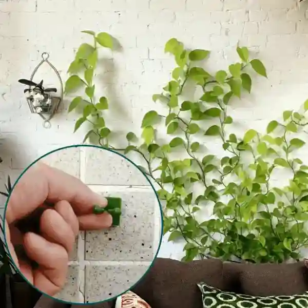 Vines, suporturi autoadezive pentru plante și plante cățărătoare (100 de bucăți) - Image 9