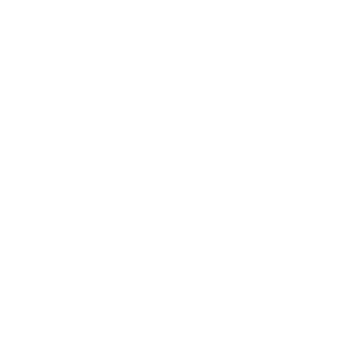 Twitter Icon